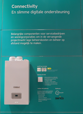Vaillant1